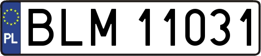 BLM11031