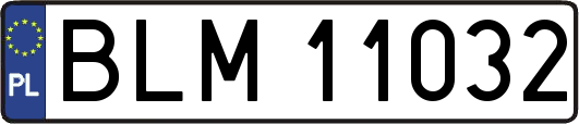 BLM11032