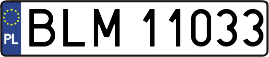 BLM11033