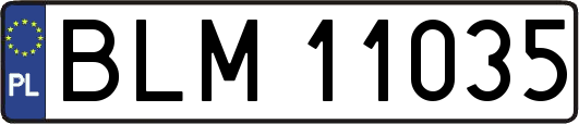 BLM11035