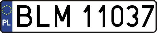 BLM11037