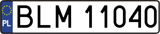 BLM11040