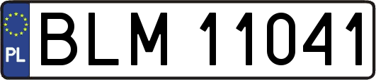 BLM11041