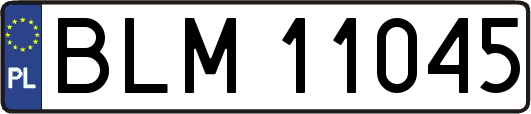 BLM11045