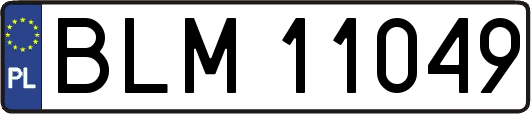 BLM11049