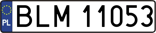 BLM11053