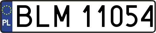 BLM11054