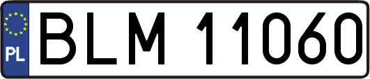 BLM11060