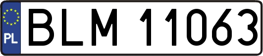 BLM11063