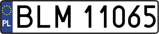 BLM11065