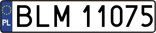 BLM11075