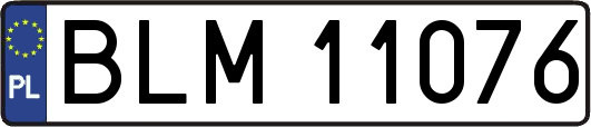 BLM11076
