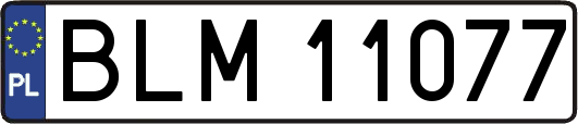 BLM11077