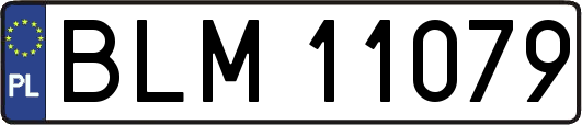 BLM11079