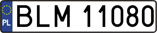 BLM11080