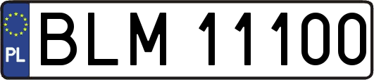 BLM11100