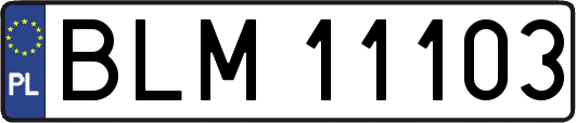 BLM11103