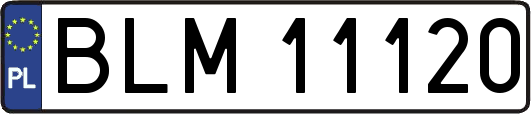 BLM11120
