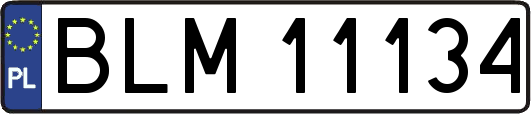 BLM11134