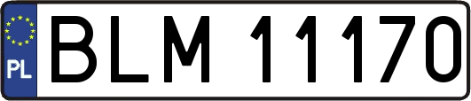 BLM11170