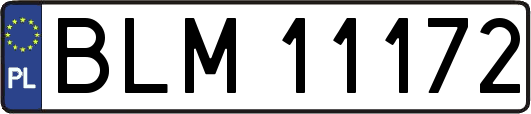 BLM11172