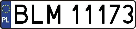 BLM11173