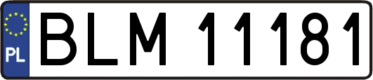 BLM11181