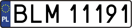 BLM11191