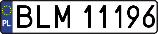 BLM11196