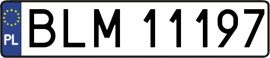 BLM11197