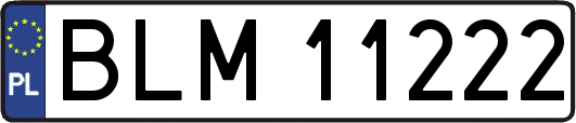 BLM11222