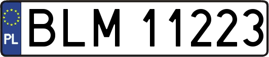 BLM11223