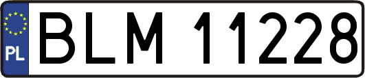 BLM11228