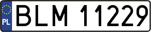 BLM11229