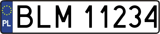 BLM11234