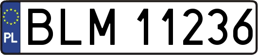 BLM11236