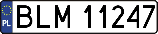 BLM11247