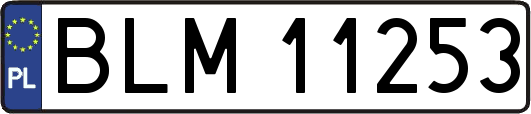 BLM11253
