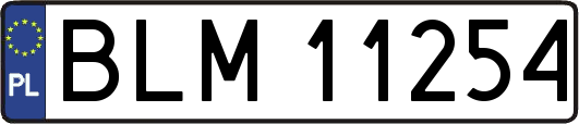 BLM11254