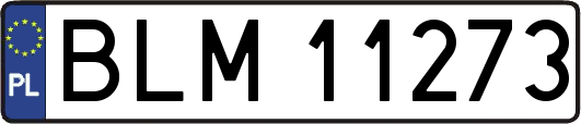 BLM11273