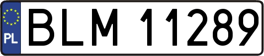 BLM11289