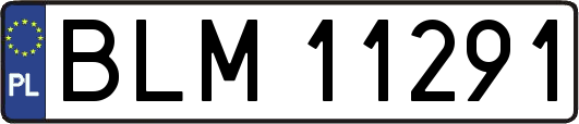 BLM11291