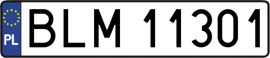 BLM11301