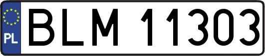 BLM11303
