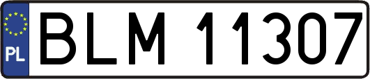 BLM11307