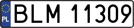 BLM11309
