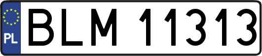 BLM11313