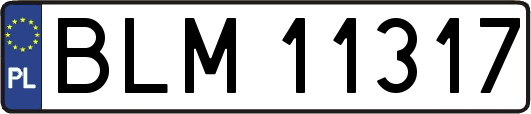 BLM11317