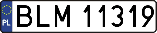 BLM11319