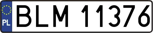 BLM11376